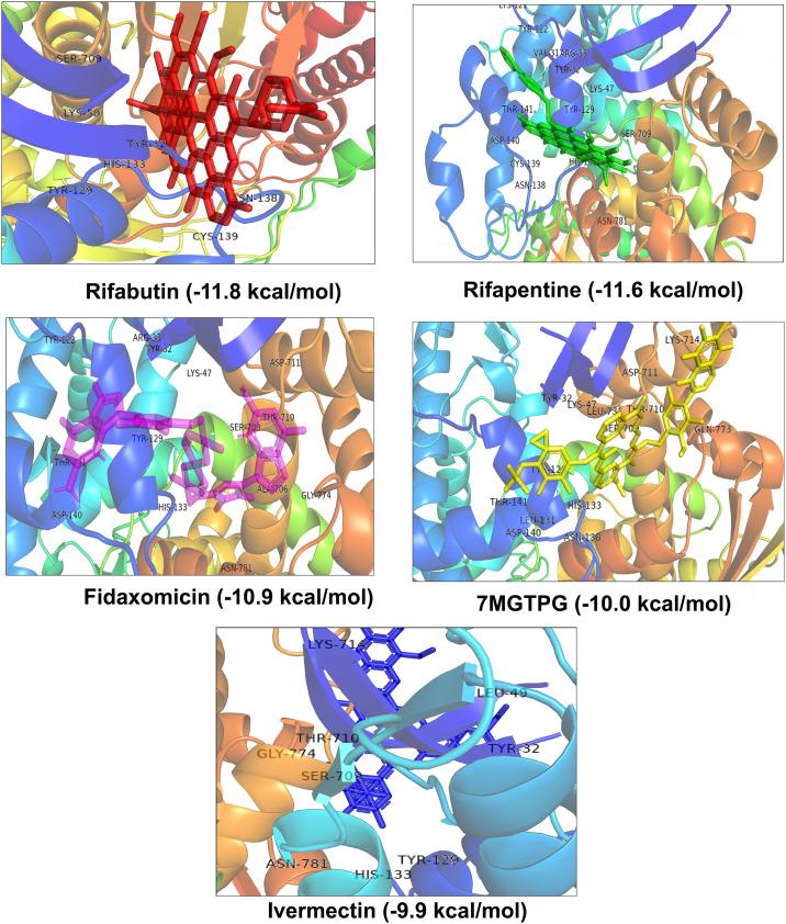 https://cdn.ncbi.nlm.nih.gov/pmc/blobs/9606/7495146/41b0f7f8b58c/gr1_lrg.jpg