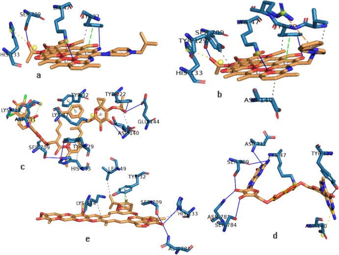 https://cdn.ncbi.nlm.nih.gov/pmc/blobs/9606/7495146/9ab267e742c3/gr2_lrg.jpg