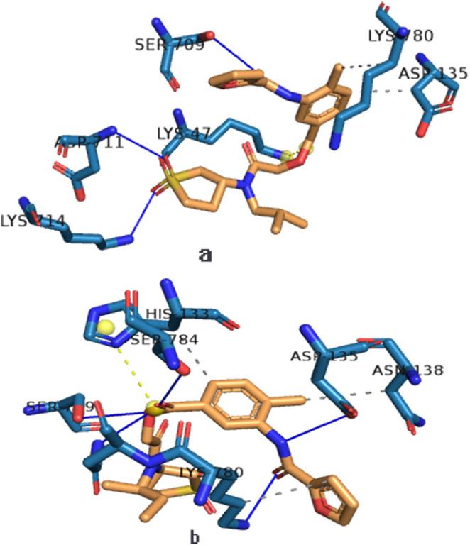 https://cdn.ncbi.nlm.nih.gov/pmc/blobs/9606/7495146/eff998f2820d/gr6_lrg.jpg