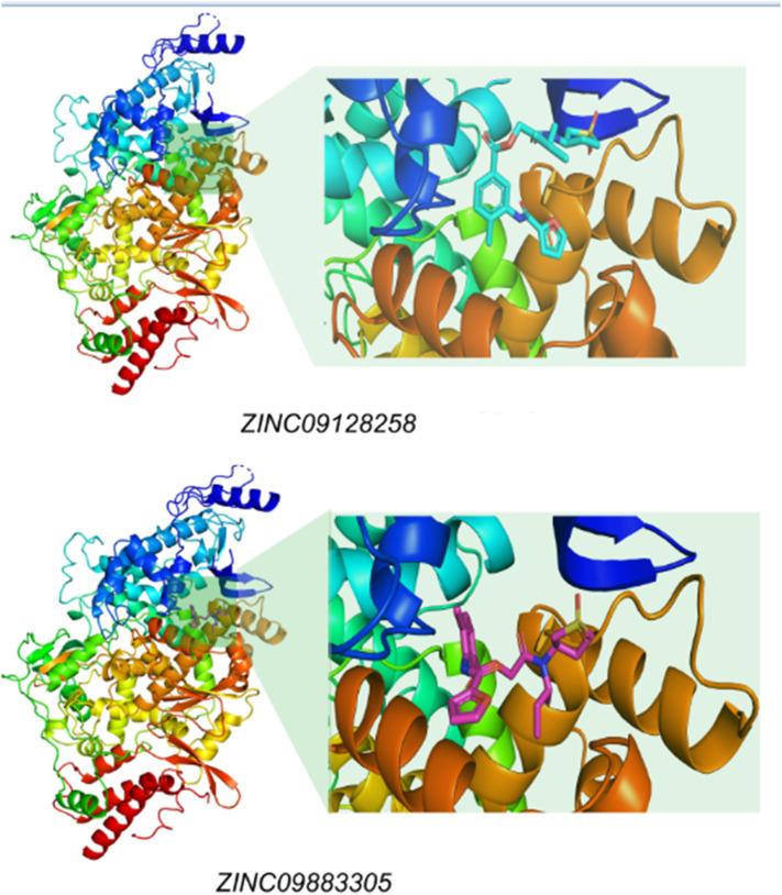 https://cdn.ncbi.nlm.nih.gov/pmc/blobs/9606/7495146/f70dd2506ecc/gr5_lrg.jpg