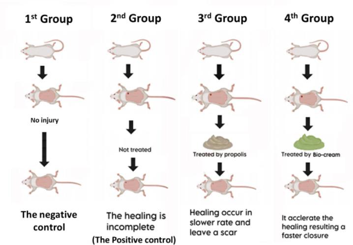 https://cdn.ncbi.nlm.nih.gov/pmc/blobs/9607/12391360/6b31bdc496b4/41598_2025_17070_Fig10_HTML.jpg