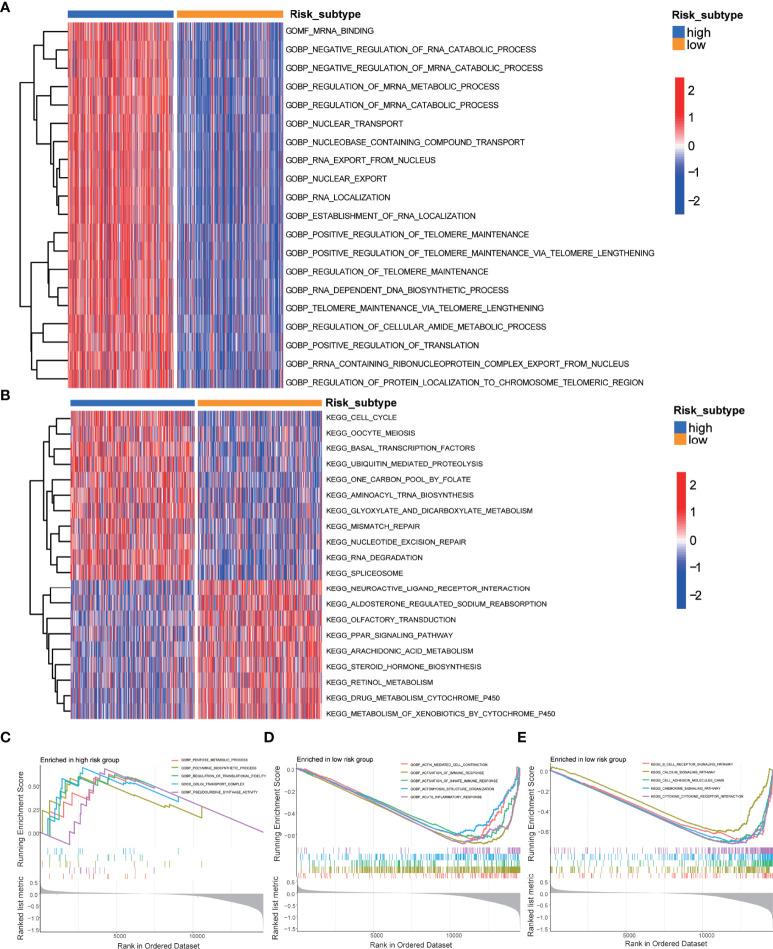 https://cdn.ncbi.nlm.nih.gov/pmc/blobs/9607/9226312/0fa403ff2835/fimmu-13-914577-g003.jpg