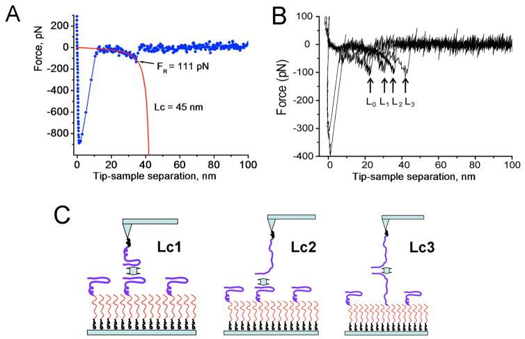 https://cdn.ncbi.nlm.nih.gov/pmc/blobs/9608/5098429/036c2704980f/nihms797847f3.jpg
