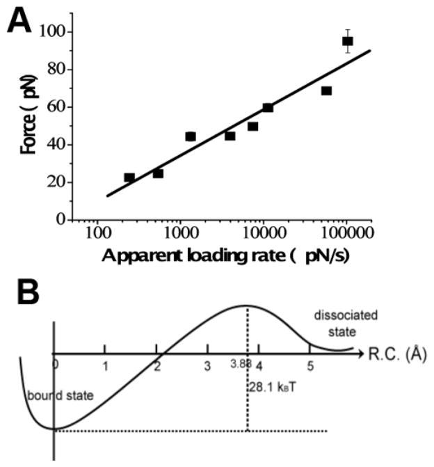 https://cdn.ncbi.nlm.nih.gov/pmc/blobs/9608/5098429/6ef6cb349199/nihms797847f7.jpg