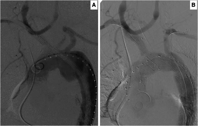 https://cdn.ncbi.nlm.nih.gov/pmc/blobs/9609/11997767/7c89a0eca18b/ytaf054f6.jpg
