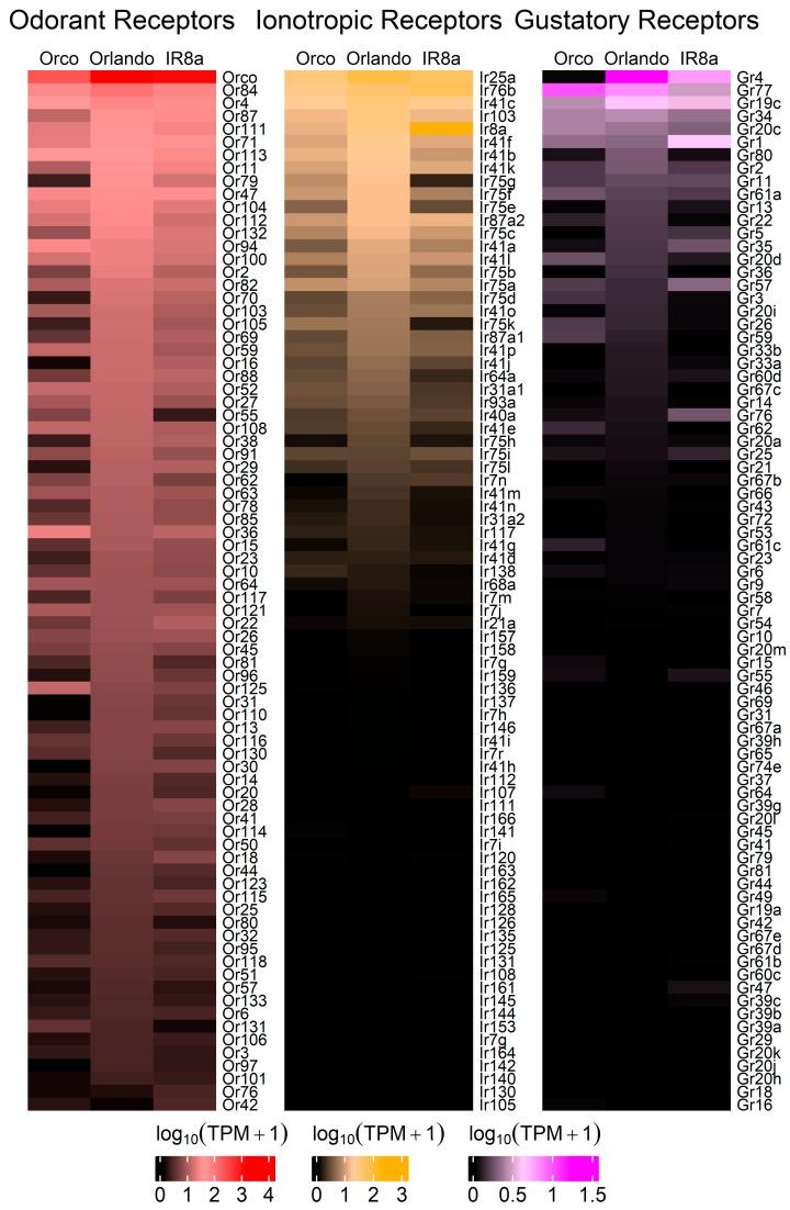 https://cdn.ncbi.nlm.nih.gov/pmc/blobs/9609/12193925/6c4d0c2369e5/insects-16-00638-g002.jpg