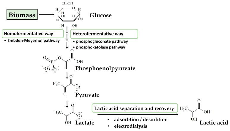 https://cdn.ncbi.nlm.nih.gov/pmc/blobs/960b/10058920/80192c9d9ad4/polymers-15-01539-g004.jpg
