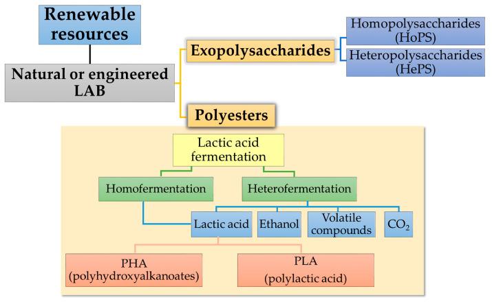 https://cdn.ncbi.nlm.nih.gov/pmc/blobs/960b/10058920/bfe963d53d35/polymers-15-01539-g003.jpg