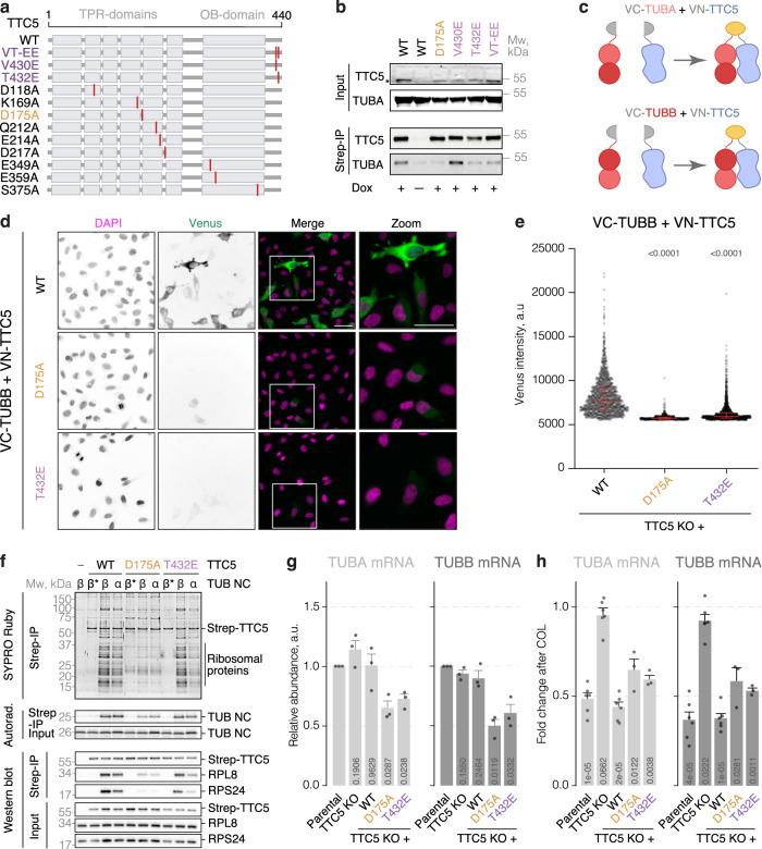 https://cdn.ncbi.nlm.nih.gov/pmc/blobs/960b/11570694/7907846f6b09/41467_2024_54036_Fig3_HTML.jpg
