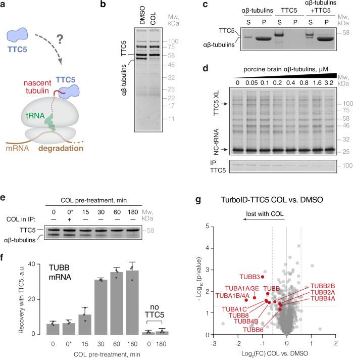 https://cdn.ncbi.nlm.nih.gov/pmc/blobs/960b/11570694/c132205708ea/41467_2024_54036_Fig1_HTML.jpg