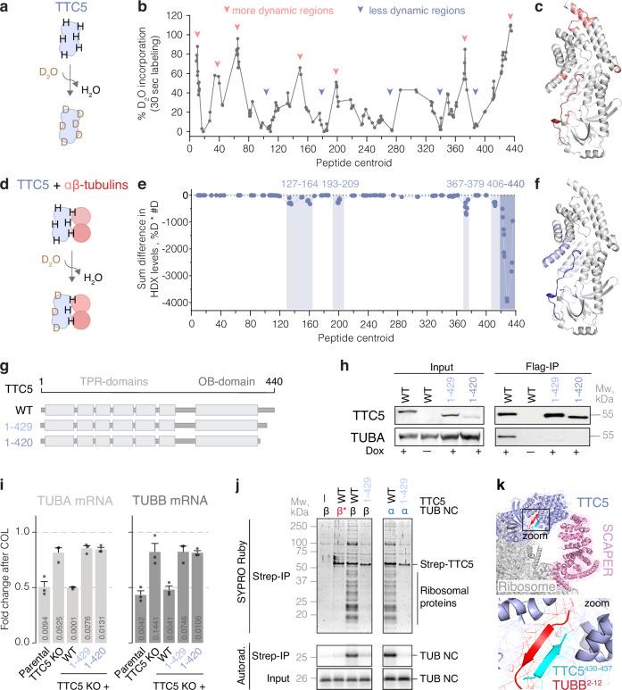 https://cdn.ncbi.nlm.nih.gov/pmc/blobs/960b/11570694/f105bac2aa17/41467_2024_54036_Fig2_HTML.jpg