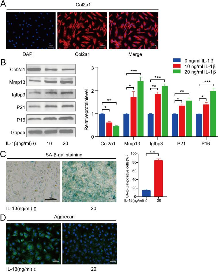 https://cdn.ncbi.nlm.nih.gov/pmc/blobs/960b/11861589/077d6d2ca3bc/41598_2025_90909_Fig5_HTML.jpg