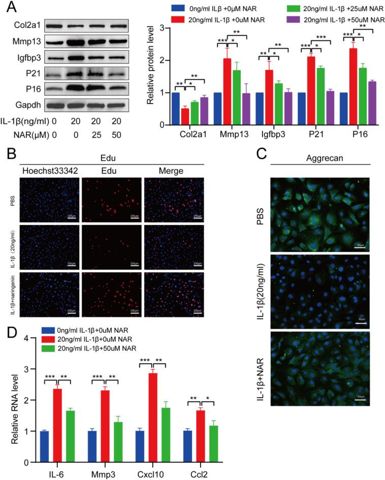 https://cdn.ncbi.nlm.nih.gov/pmc/blobs/960b/11861589/18f15c955a17/41598_2025_90909_Fig8_HTML.jpg