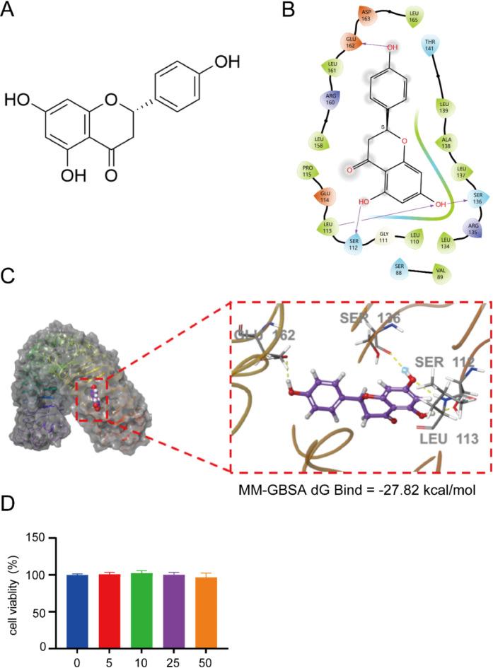 https://cdn.ncbi.nlm.nih.gov/pmc/blobs/960b/11861589/53dd8e3ca62f/41598_2025_90909_Fig7_HTML.jpg
