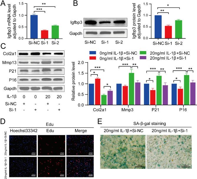 https://cdn.ncbi.nlm.nih.gov/pmc/blobs/960b/11861589/d5979814f3e2/41598_2025_90909_Fig6_HTML.jpg