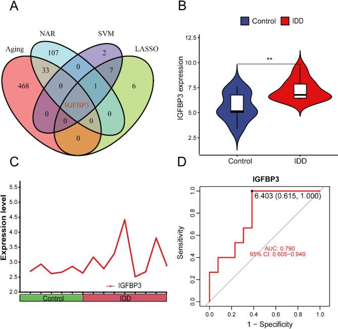 https://cdn.ncbi.nlm.nih.gov/pmc/blobs/960b/11861589/e0f6a9848ac4/41598_2025_90909_Fig4_HTML.jpg