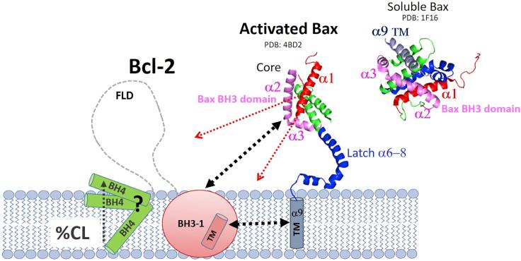 https://cdn.ncbi.nlm.nih.gov/pmc/blobs/960b/9748362/30e4b54fa7ce/gr4.jpg