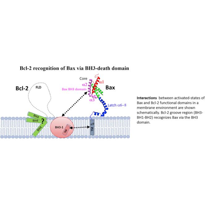 https://cdn.ncbi.nlm.nih.gov/pmc/blobs/960b/9748362/60ef33a36f6c/fx1.jpg