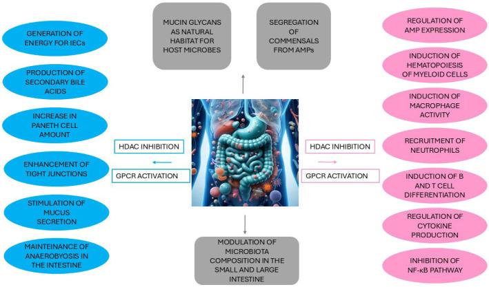 https://cdn.ncbi.nlm.nih.gov/pmc/blobs/960f/12249555/55f1d55652c9/ijms-26-06076-g001.jpg