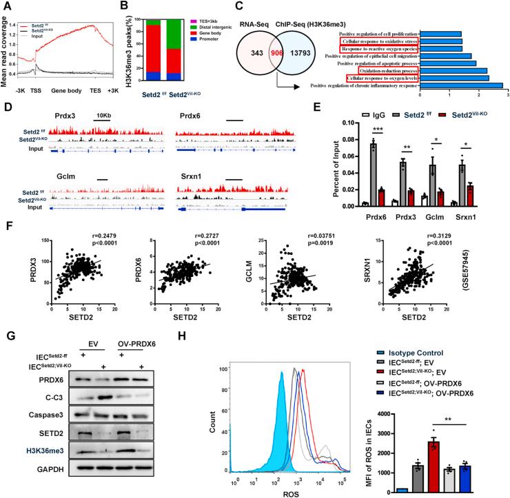 https://cdn.ncbi.nlm.nih.gov/pmc/blobs/960f/8141928/851ba79daed2/gr6.jpg