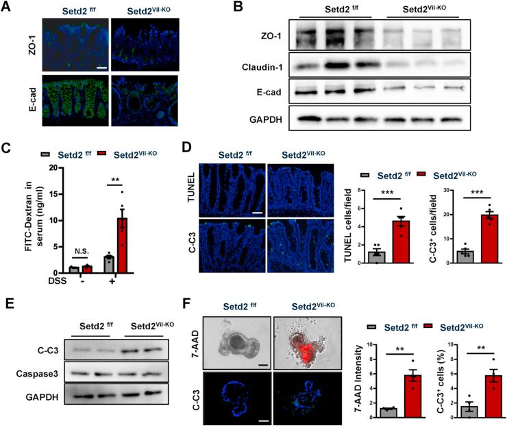 https://cdn.ncbi.nlm.nih.gov/pmc/blobs/960f/8141928/a72cb02726a4/gr4.jpg