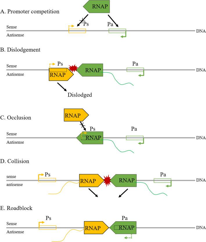 https://cdn.ncbi.nlm.nih.gov/pmc/blobs/9611/7490906/ee1bac6acccb/13046_2020_1700_Fig3_HTML.jpg