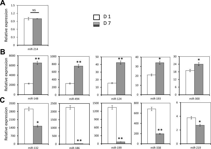 https://cdn.ncbi.nlm.nih.gov/pmc/blobs/9613/5797015/5259ebb4bdeb/oncotarget-09-4823-g003.jpg