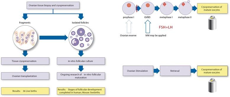 https://cdn.ncbi.nlm.nih.gov/pmc/blobs/9614/4979150/6e5bd54b88bf/12885_2016_2584_Fig1_HTML.jpg