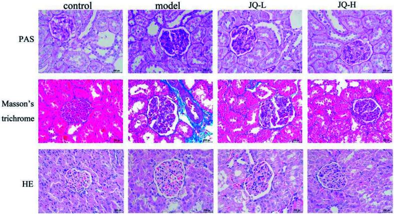 https://cdn.ncbi.nlm.nih.gov/pmc/blobs/9614/9091965/760c0774b528/c8ra07858k-f8.jpg