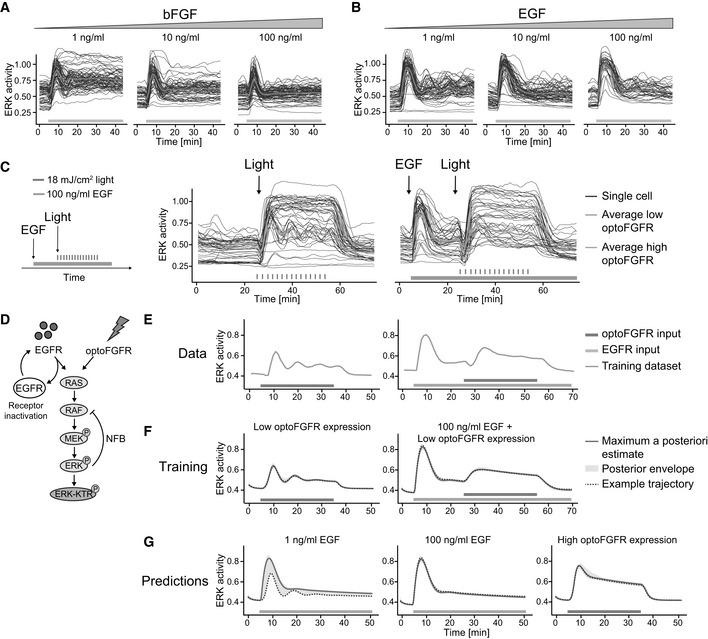 https://cdn.ncbi.nlm.nih.gov/pmc/blobs/9614/9189677/6e2754513532/MSB-18-e10670-g004.jpg