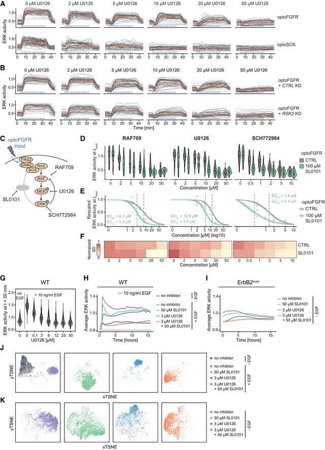 https://cdn.ncbi.nlm.nih.gov/pmc/blobs/9614/9189677/98a51beba8d1/MSB-18-e10670-g001.jpg