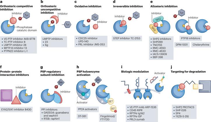 https://cdn.ncbi.nlm.nih.gov/pmc/blobs/9616/9872771/14d0517a63df/41573_2022_618_Fig1_HTML.jpg