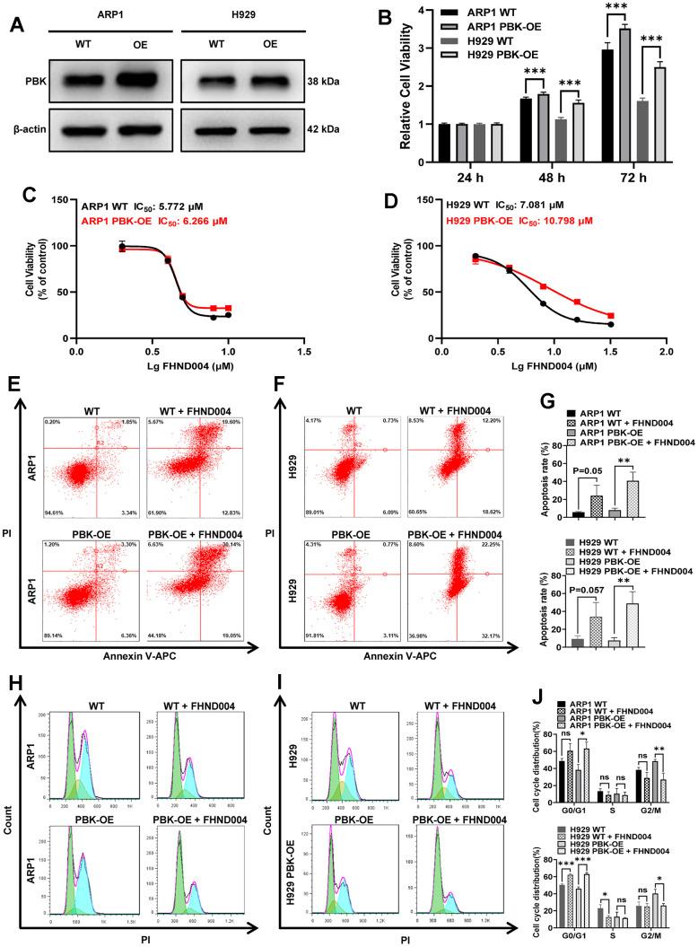 https://cdn.ncbi.nlm.nih.gov/pmc/blobs/9617/10968680/87e3fa94ce1f/aging-16-205634-g006.jpg