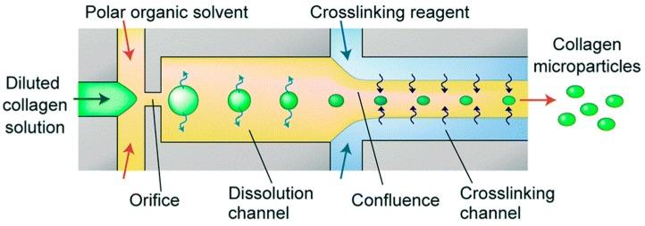 https://cdn.ncbi.nlm.nih.gov/pmc/blobs/9618/5459032/70ccb3e666f5/materials-10-00517-g003.jpg