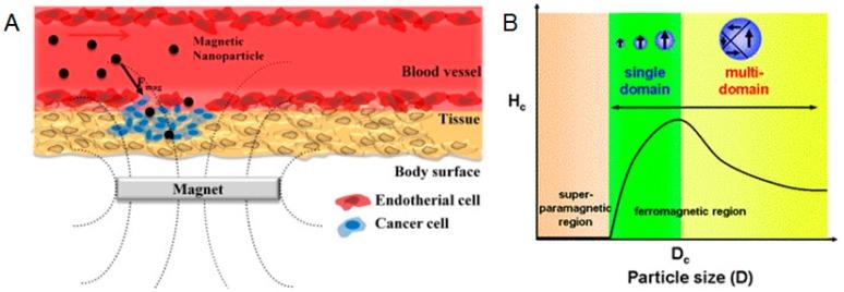 https://cdn.ncbi.nlm.nih.gov/pmc/blobs/9618/5459032/d5d556d76598/materials-10-00517-g006.jpg