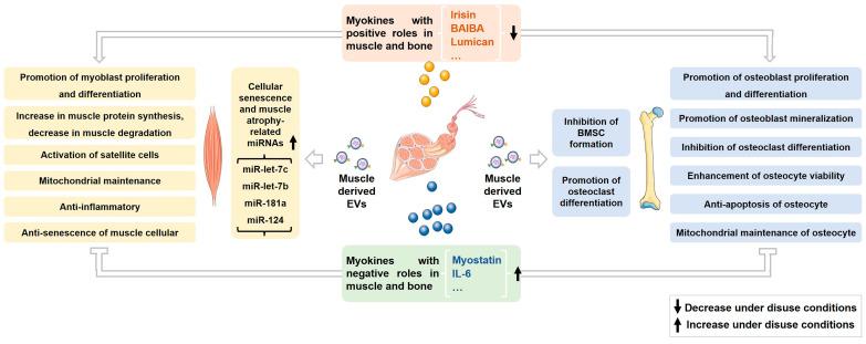 https://cdn.ncbi.nlm.nih.gov/pmc/blobs/961a/10891558/f51992f9714b/metabolites-14-00088-g001.jpg