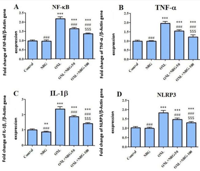 https://cdn.ncbi.nlm.nih.gov/pmc/blobs/961a/10897554/496aceef6cb4/IJBMS-27-466-g002.jpg