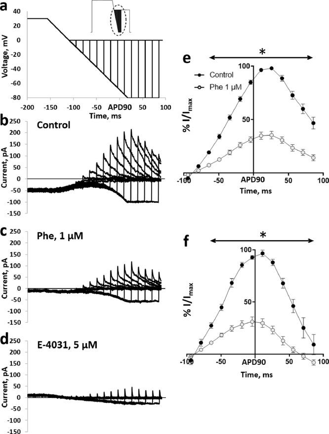 https://cdn.ncbi.nlm.nih.gov/pmc/blobs/961b/8121755/280fad3f298c/gr3.jpg