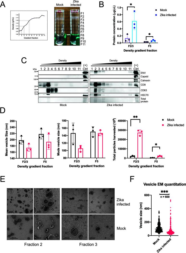 https://cdn.ncbi.nlm.nih.gov/pmc/blobs/961b/8265634/ef9632b96ee4/msphere.00192-21-f001.jpg