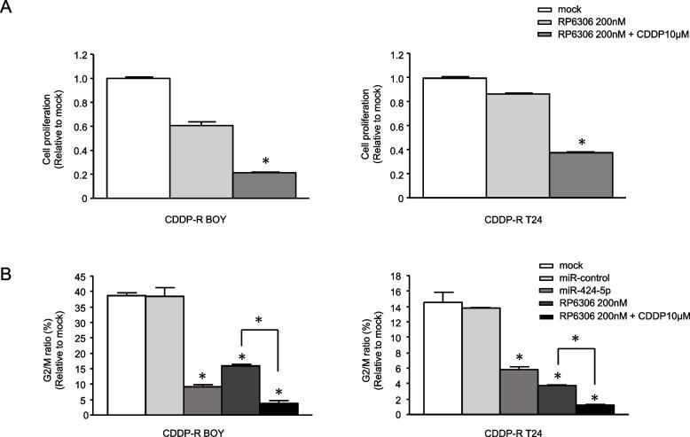 https://cdn.ncbi.nlm.nih.gov/pmc/blobs/9621/11523841/0e935890b369/12885_2024_13109_Fig5_HTML.jpg