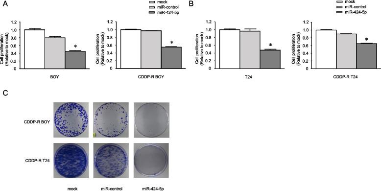 https://cdn.ncbi.nlm.nih.gov/pmc/blobs/9621/11523841/35209558dca8/12885_2024_13109_Fig2_HTML.jpg