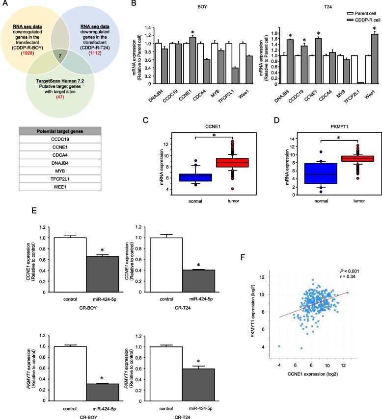 https://cdn.ncbi.nlm.nih.gov/pmc/blobs/9621/11523841/4ee7f9ae62e2/12885_2024_13109_Fig4_HTML.jpg