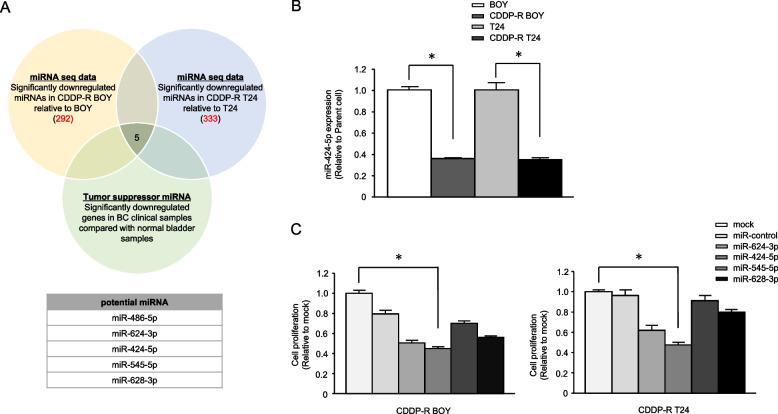 https://cdn.ncbi.nlm.nih.gov/pmc/blobs/9621/11523841/c4b3ebec9e11/12885_2024_13109_Fig1_HTML.jpg