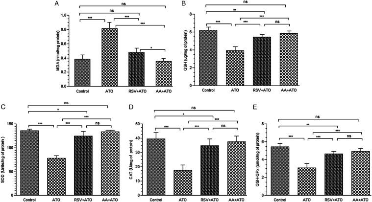 https://cdn.ncbi.nlm.nih.gov/pmc/blobs/9623/8649462/d9a199b88ea1/10.1177_15593258211060941-fig3.jpg