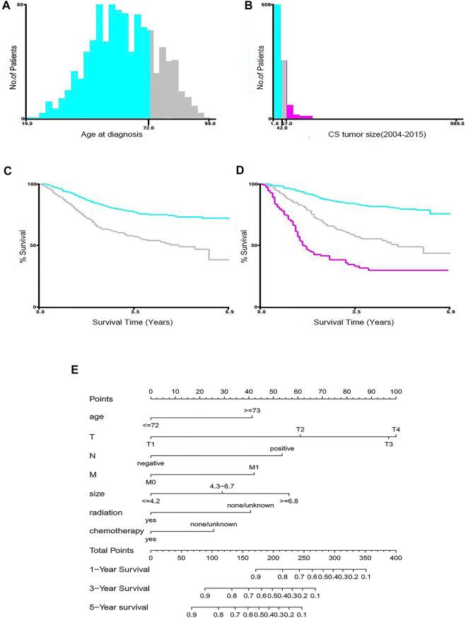 https://cdn.ncbi.nlm.nih.gov/pmc/blobs/9624/9454815/7c16b5ac0b4f/fgene-13-993116-g002.jpg