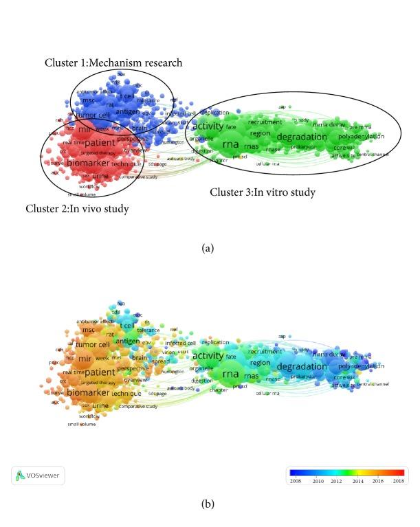 https://cdn.ncbi.nlm.nih.gov/pmc/blobs/9625/6470441/97602125c90e/BMRI2019-1495130.007.jpg