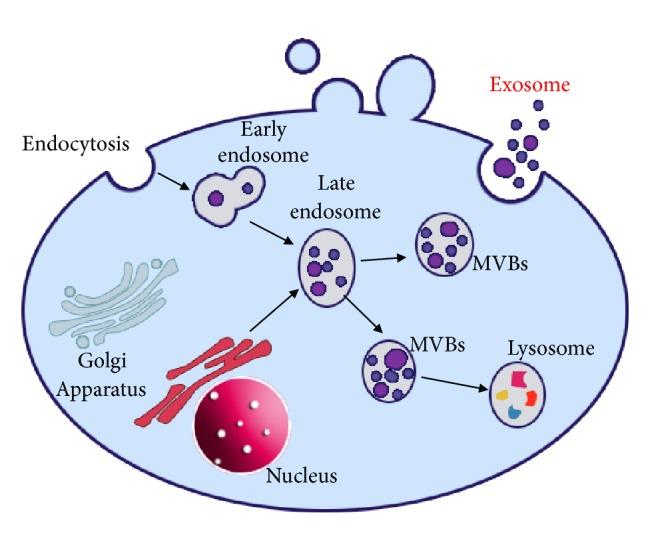 https://cdn.ncbi.nlm.nih.gov/pmc/blobs/9625/6470441/ec33a50901f8/BMRI2019-1495130.001.jpg