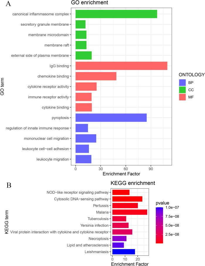 https://cdn.ncbi.nlm.nih.gov/pmc/blobs/9626/12222123/b8fe6954ed94/fcell-13-1619002-g005.jpg