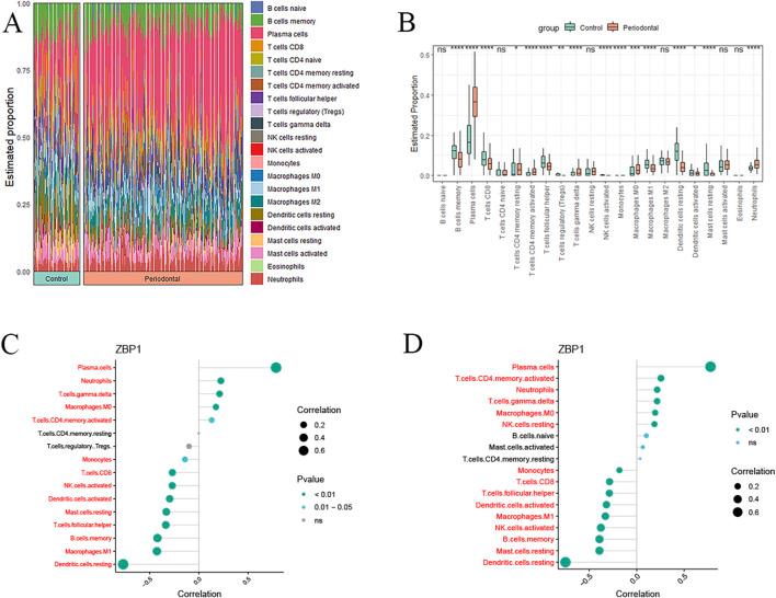 https://cdn.ncbi.nlm.nih.gov/pmc/blobs/9626/12222123/ca47f3b40f56/fcell-13-1619002-g008.jpg