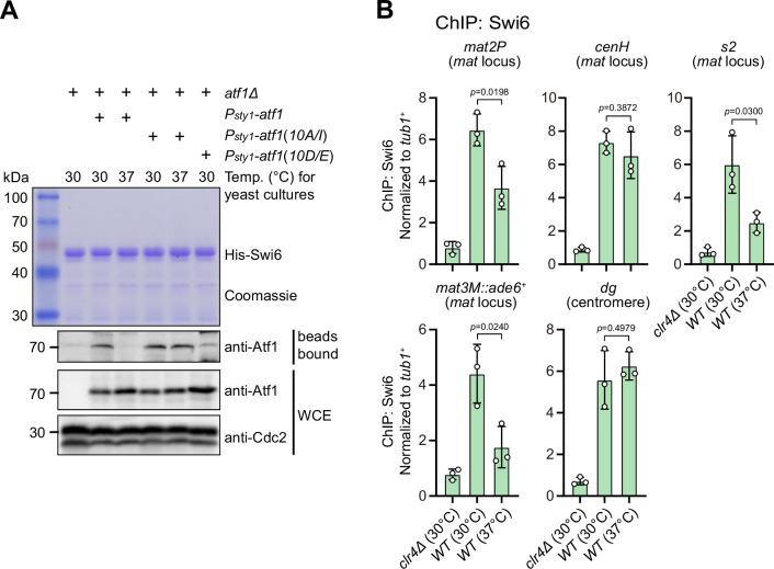 https://cdn.ncbi.nlm.nih.gov/pmc/blobs/9628/10863984/c1ece04cc1c5/elife-90525-fig4.jpg